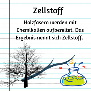 Wie wird Karton hergestellt? - Definition Zellstoff